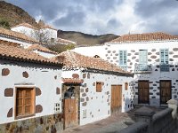 E, Las Palmas, Santa Lucia de Tirajana, Santa Lucia de Tirajana village 3, Saxifraga-Tom Heijnen