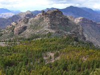 E, Las Palmas, Tejeda, near Roque Nublo 8, Saxifraga-Tom Heijnen