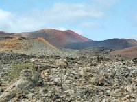 E, Las Palmas, Yaiza, Parque Nacional de Timanfaya 2, Saxifraga-Tom Heijnen