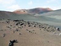 E, Las Palmas, Yaiza, Parque Nacional de Timanfaya 3, Saxifraga-Tom Heijnen