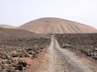 E, Las Palmas, Yaiza, near Yaiza village 2, Saxifraga-Tom Heijnen