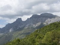 E, Leon, Boca de Huergano, Puerto de San Glorio 11, Saxifraga-Willem van Kruijsbergen