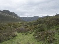 E, Leon, Boca de Huergano, Puerto de San Glorio 9, Saxifraga-Willem van Kruijsbergen