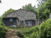 E, Leon, Posada de Valdeon, Cain de Arriba 8, Saxifraga-Willem van Kruijsbergen