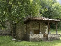 E, Leon, Posada de Valdeon, Ermita de Corona 11, Saxifraga-Willem van Kruijsbergen