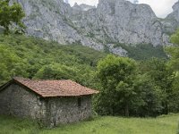 E, Leon, Posada de Valdeon, Ermita de Corona 13, Saxifraga-Willem van Kruijsbergen