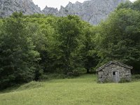 E, Leon, Posada de Valdeon, Ermita de Corona 14, Saxifraga-Willem van Kruijsbergen