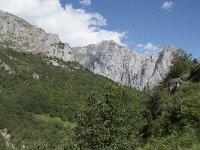 E, Leon, Posada de Valdeon, Ermita de Corona 5, Saxifraga-Willem van Kruijsbergen