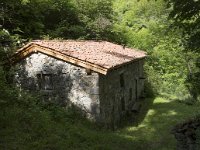 E, Leon, Posada de Valdeon, Ermita de Corona 8, Saxifraga-Willem van Kruijsbergen