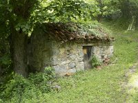 E, Leon, Posada de Valdeon, Ermita de Corona 9, Saxifraga-Willem van Kruijsbergen