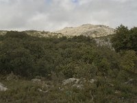 E, Malaga, El Burgo, Sierra de las Nieves 22, Saxifraga-Willem van Kruijsbergen