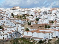 E, Málaga, Ronda 3, Saxifraga-Tom Heijnen