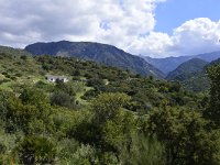 E, Malaga, Ronda, La garganta verde 1, Saxifraga-Theo Verstrael
