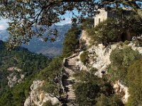 E, Mallorca, Alaro, Castel d Alaro 17, Saxifraga-Hans Dekker
