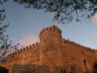 E, Mallorca, Felanitx, Castell de Santueri 2, Saxifraga-Hans Dekker
