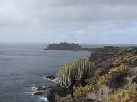 E, Santa Cruz de Tenerife, Buenavista del Norte, Punta Teno 3, Saxifraga-Dirk Hilbers