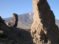 E, Santa Cruz de Tenerife, La Oratava, Canadas del Teide 11, Saxifraga-Dirk Hilbers