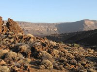 E, Santa Cruz de Tenerife, La Oratava, Canadas del Teide 14, Saxifraga-Dirk Hilbers