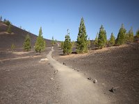 E, Santa Cruz de Tenerife, La Oratava, Canadas del Teide 15, Saxifraga-Dirk Hilbers