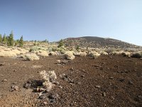 E, Santa Cruz de Tenerife, La Oratava, Canadas del Teide 4, Saxifraga-Dirk Hilbers