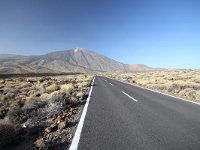 E, Santa Cruz de Tenerife, La Oratava, Canadas del Teide 8, Saxifraga-Dirk Hilbers