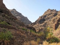 E, Santa Cruz de Tenerife, Valle Gran Rey 1, Saxifraga-Bart Vastenhouw