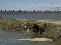 E, Tarragona, Deltebre, Canal Vell 15, Saxifraga-Marijke Verhagen