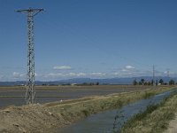 E, Tarragona, Deltebre, Canal Vell 16, Saxifraga-Marijke Verhagen