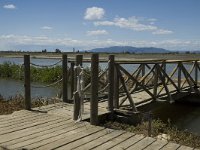 E, Tarragona, Deltebre, Canal Vell 6, Saxifraga-Marijke Verhagen