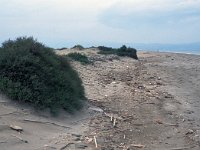 E, Tarragona, Deltebre, El Fangar 46, Saxifraga-Jan van der Straaten