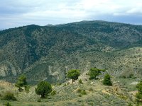 Camarena de la Sierra