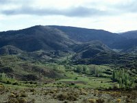 E, Teruel, Camarena de la Sierra, Javalambre 1, Saxifraga-Jan van der Straaten