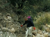 E, Teruel, Camarena de la Sierra, Rio Amanaderos 1, Saxifraga-Jan van der Straaten