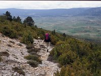 E, Teruel, Fortanete 1, Saxifraga-Jan van der Straaten