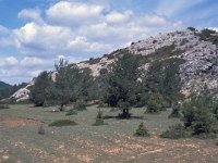 E, Teruel, Frias de Albarracin, Nacimiento del Tajo 2, Saxifraga-Jan van der Straaten