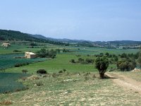 E, Teruel, Monroyo 1, Saxifraga-Jan van der Straates