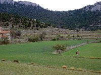 E, Teruel, Mora de Rubielos 9, Saxifraga-Jan van der Straaten