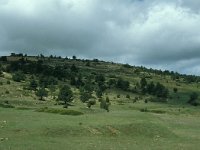 E, Teruel, Valdelinares, Morron del Botage 1, Saxifraga-Jan van der Straaten