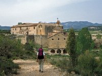 E, Teruel, Valderobres, Virgen de la Fuente 1, Saxifraga-Jan van der Straates