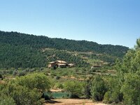 E, Teruel, Valderrobres, Vall de Figuerales 1, Saxifraga-Jan van der Straaten