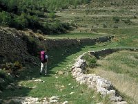 E, Teruel, Villarluengo, Loma Cerrallosa 1, Saxifraga-Jan van der Straaten