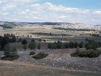 E, Teruel, Villaroya de los Pinares 1, Saxifraga-Jan van der Straaten