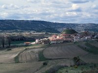 E, Teruel, Villaroya de los Pinares 6, Saxifraga-Jan van der Straaten