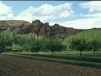 E, Teruel, Villel 2, Saxifraga-Jan van der Straaten