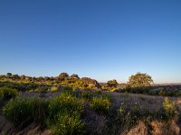 E, Zamora, Fermoselle, Arribes del Duero 2, Saxifraga-Bart Vastenhouw