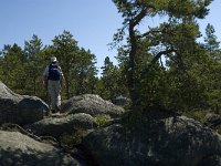 S, Gavleborgs lan, Hudiksvall, Holick 17, Saxifraga-Jan van der Straaten