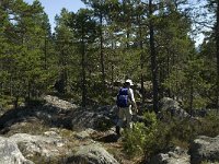 S, Gavleborgs lan, Hudiksvall, Holick 23, Saxifraga-Jan van der Straaten