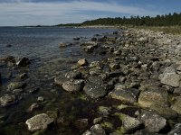 S, Gavleborgs lan, Hudiksvall, Holick 28, Saxifraga-Jan van der Straaten