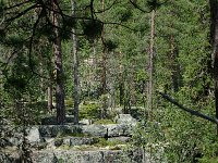 S, Jamtlands lan, Harjedalen 14, Saxifraga-Willem van Kruijsbergen