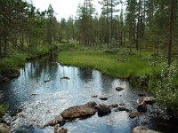 S, Jamtlands lan, Harjedalen 7, Saxifraga-Willem van Kruijsbergen